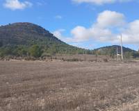 Revente - Land - Yecla