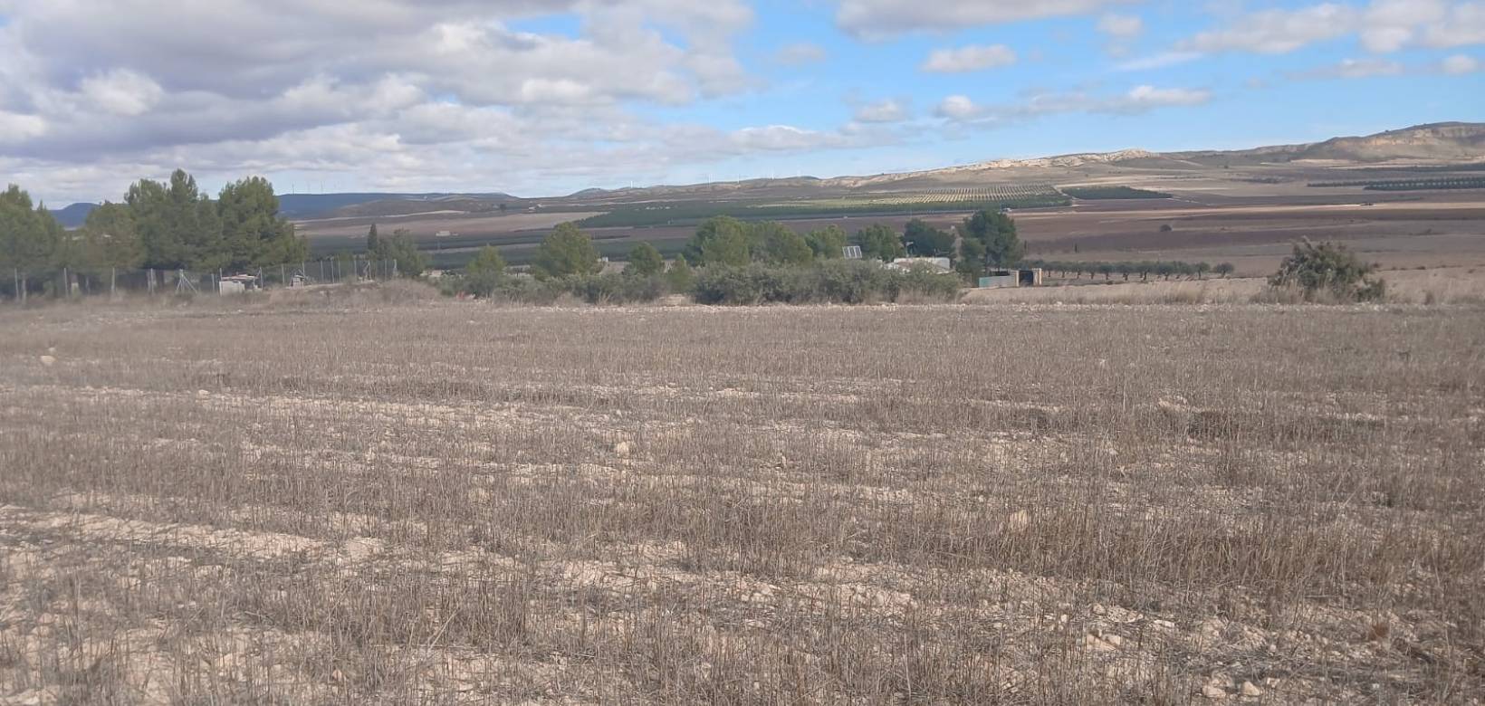 Revente - Land - Yecla