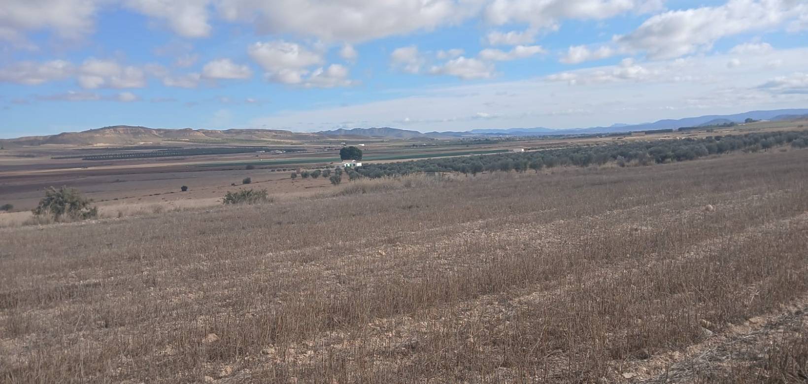 Revente - Land - Yecla