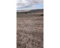 Revente - Land - Yecla