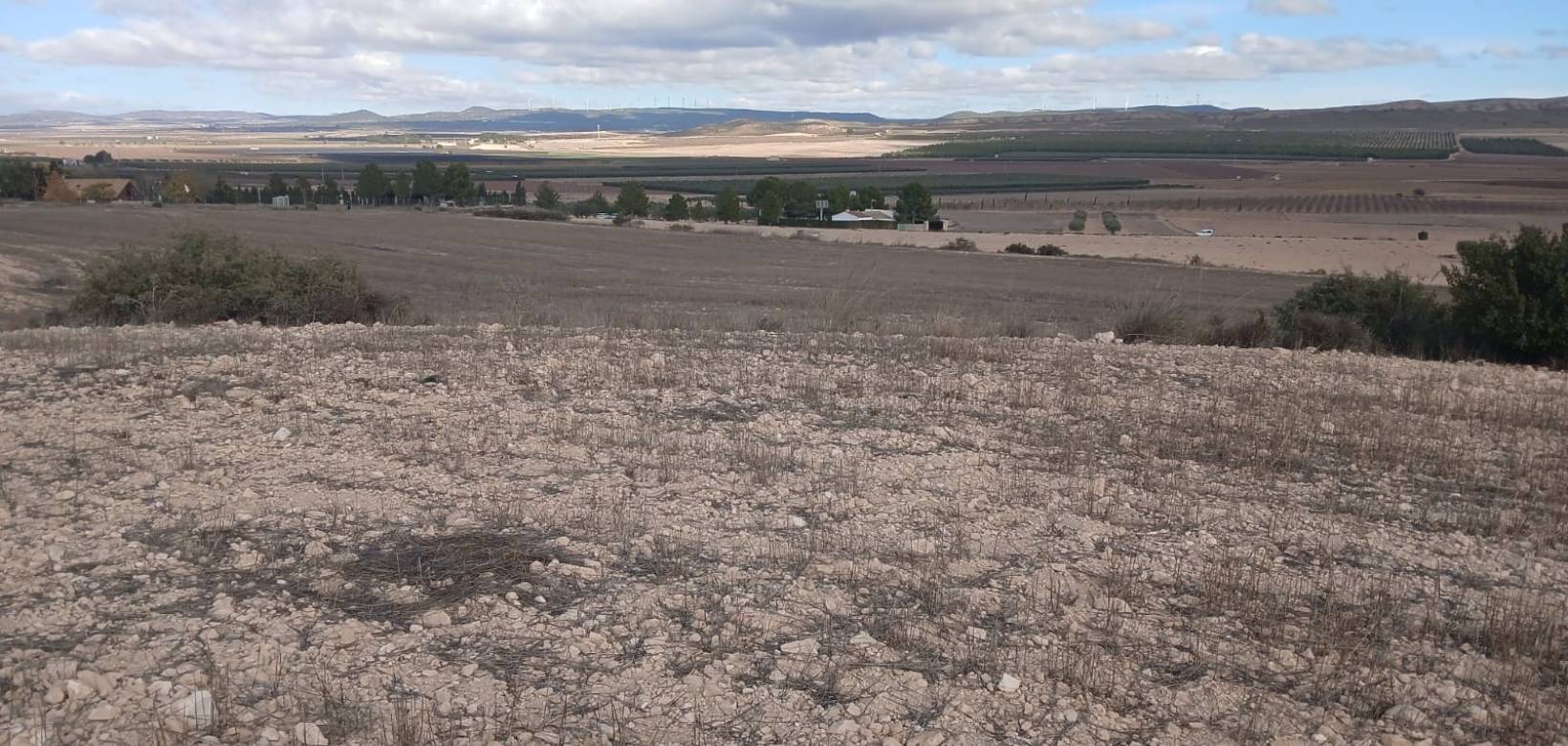 Revente - Land - Yecla