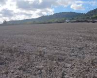 Revente - Land - Yecla