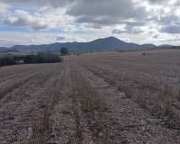 Revente - Land - Yecla