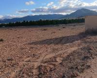 Revente - Land - Yecla