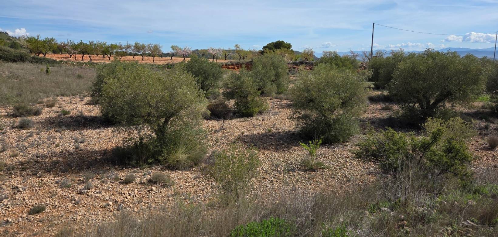 Revente - Land - Yecla