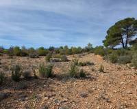 Revente - Land - Yecla