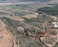 Revente - Land - Yecla