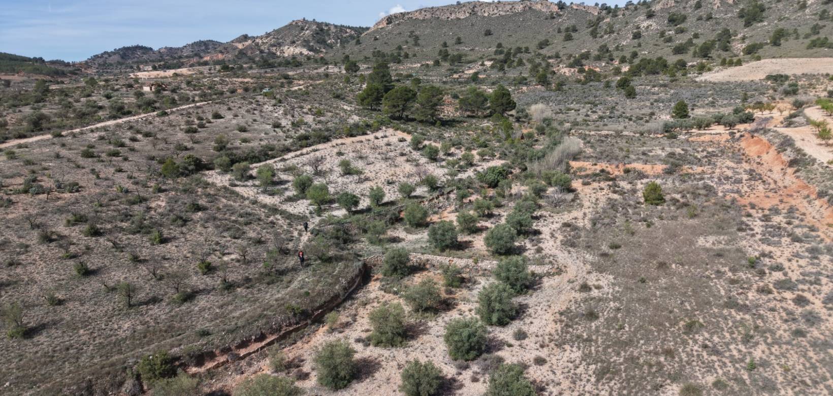 Revente - Land - Yecla