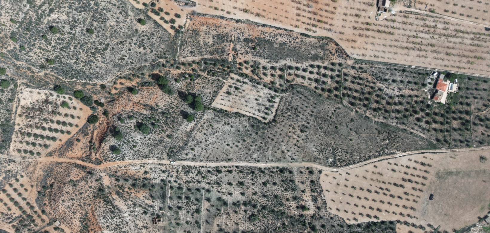 Revente - Land - Yecla