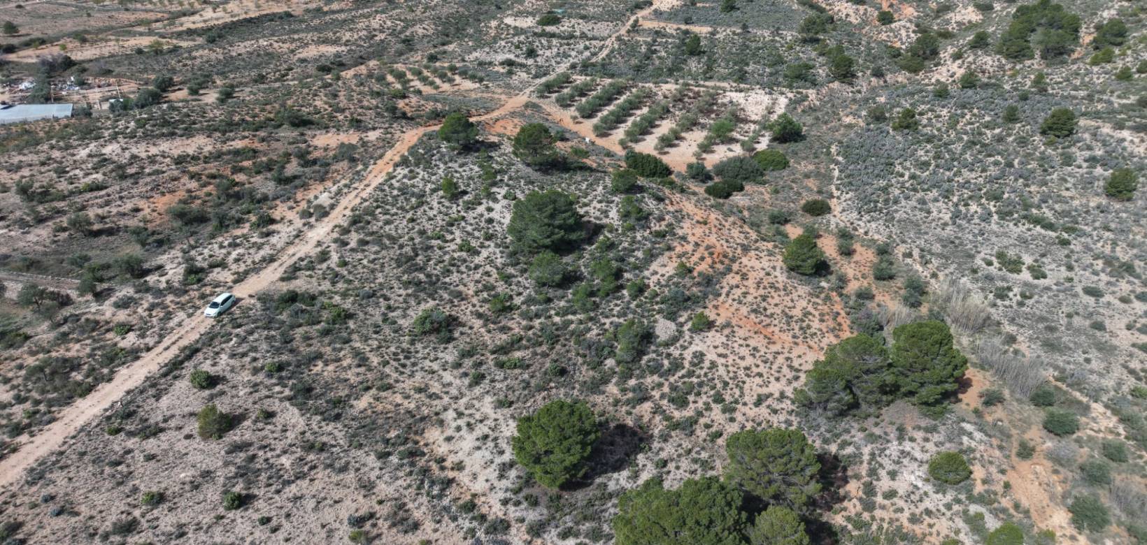 Revente - Land - Yecla