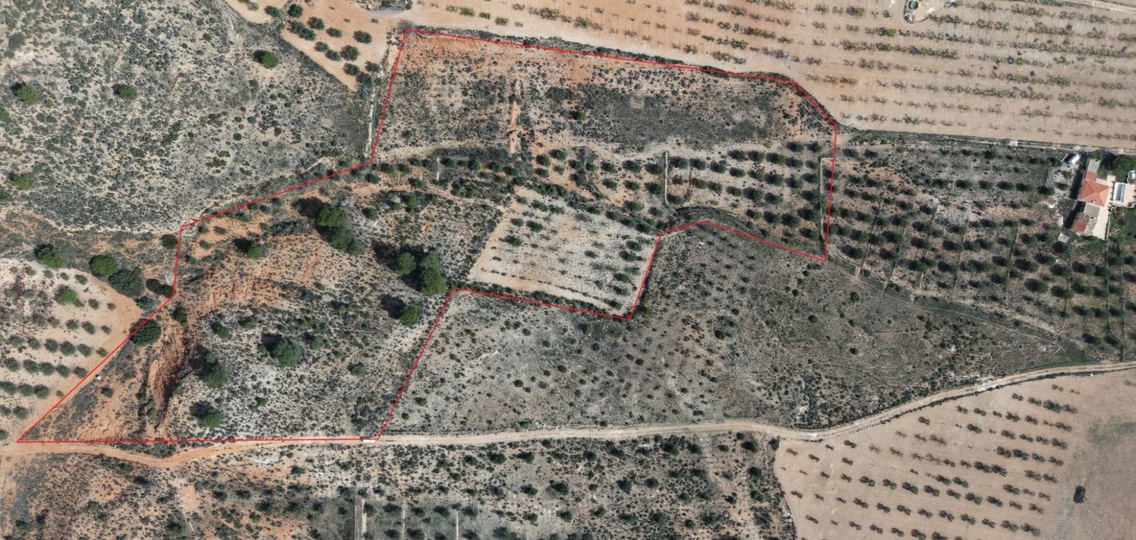 Revente - Land - Yecla