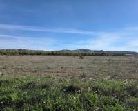 Revente - Land - Yecla