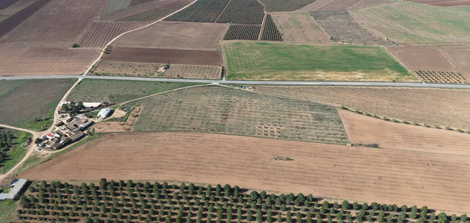 Revente - Land - Yecla