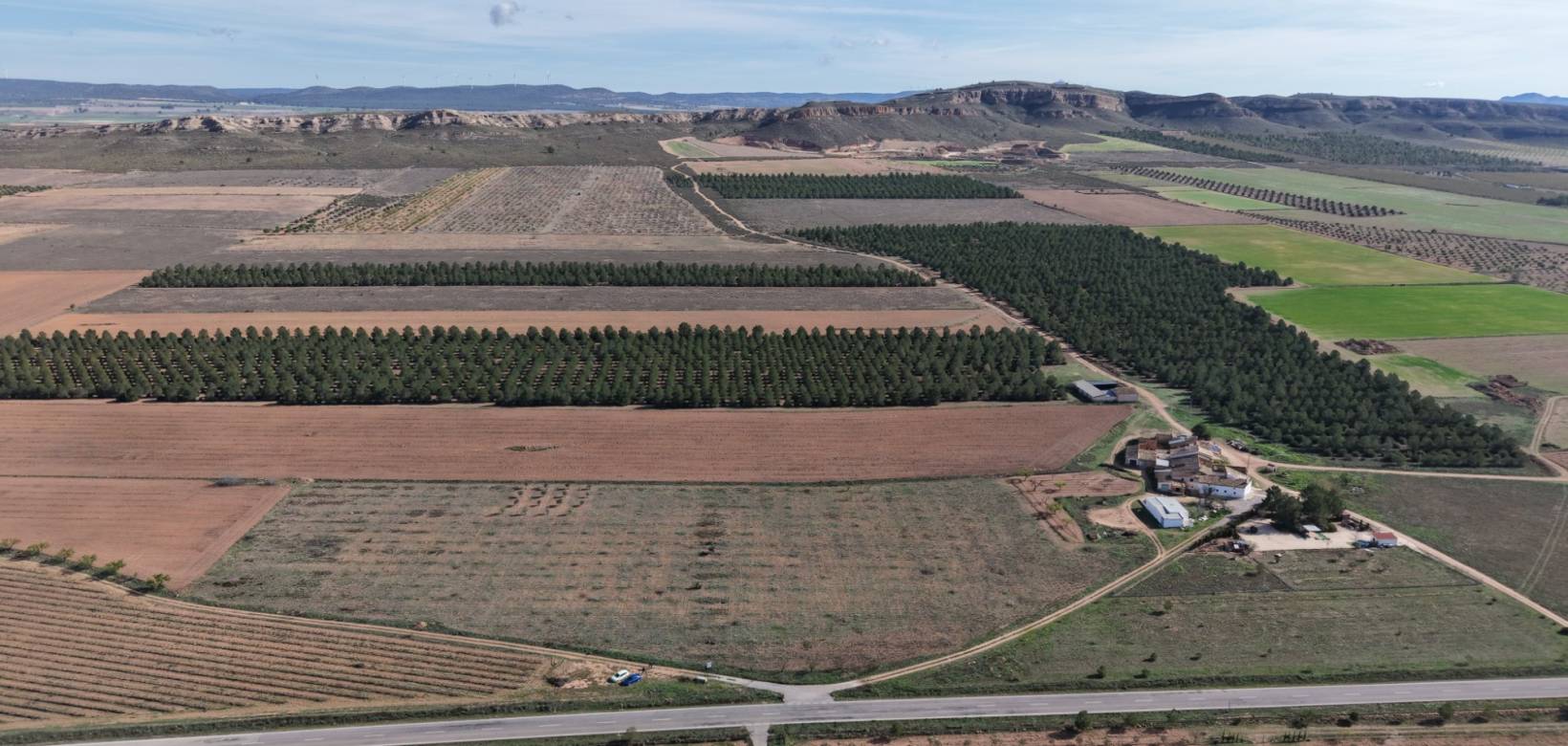 Revente - Land - Yecla