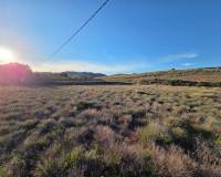 Revente - Land - Yecla