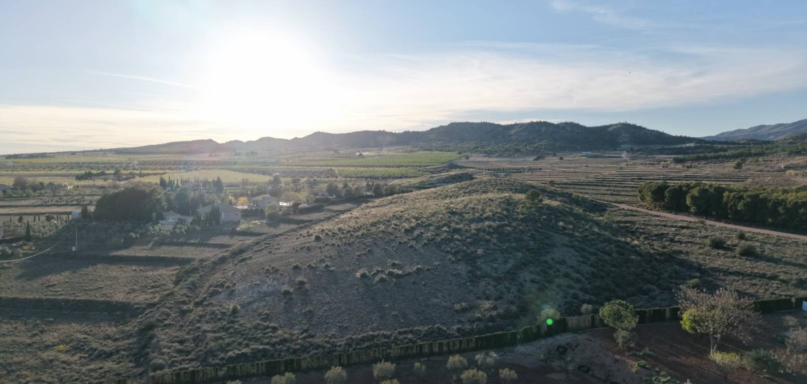 Revente - Land - Yecla