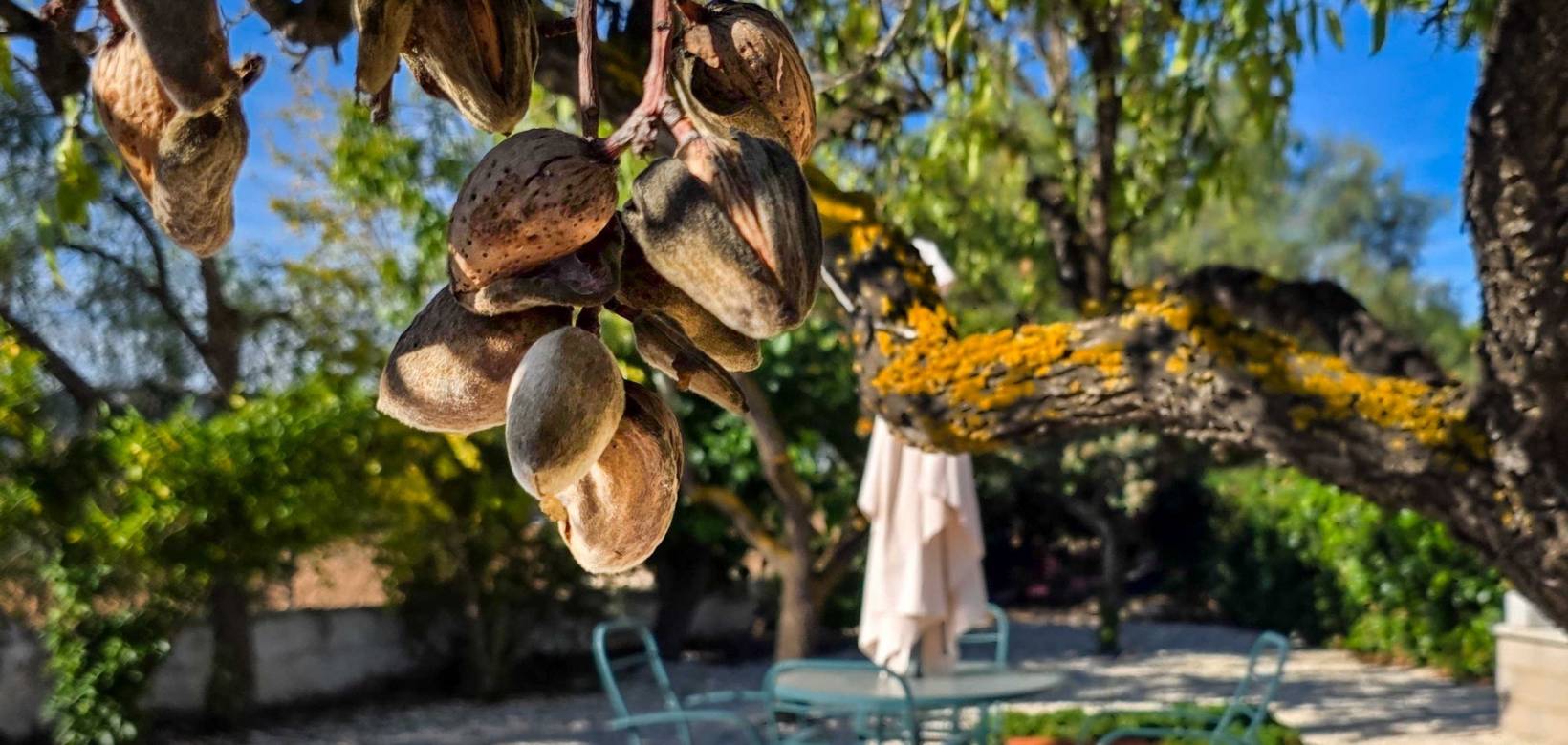 Revente - Landhuis - La Solana