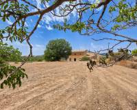 Revente - Landhuis - Pinoso  - Pinoso