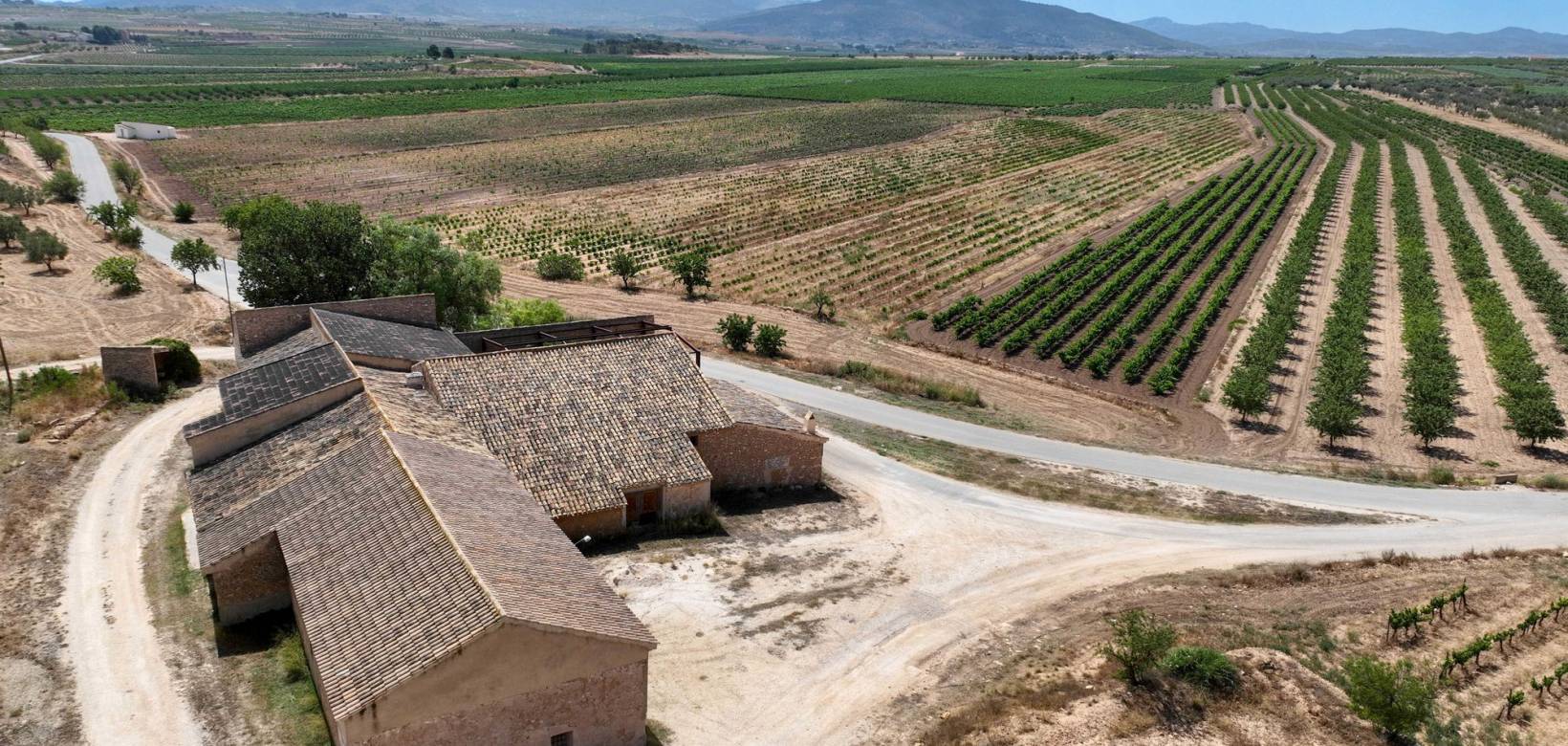 Revente - Landhuis - Pinoso  - Pinoso