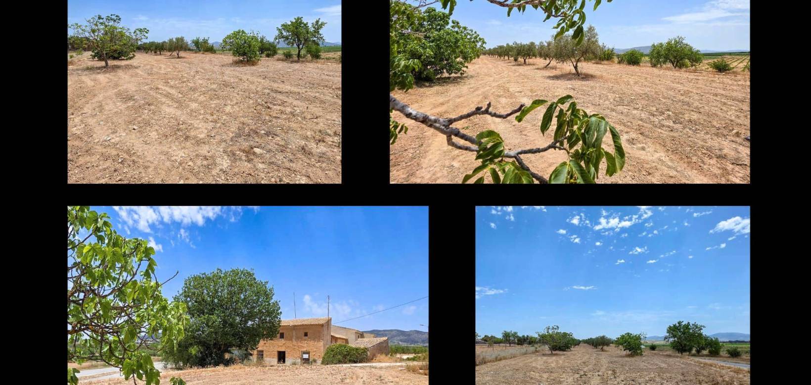 Revente - Landhuis - Pinoso  - Pinoso