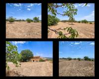 Revente - Landhuis - Pinoso  - Pinoso