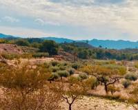 Revente - Maison caverneuse - Barinas