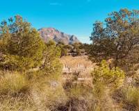 Revente - Maison caverneuse - Barinas