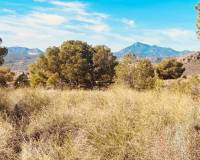 Revente - Maison caverneuse - Barinas