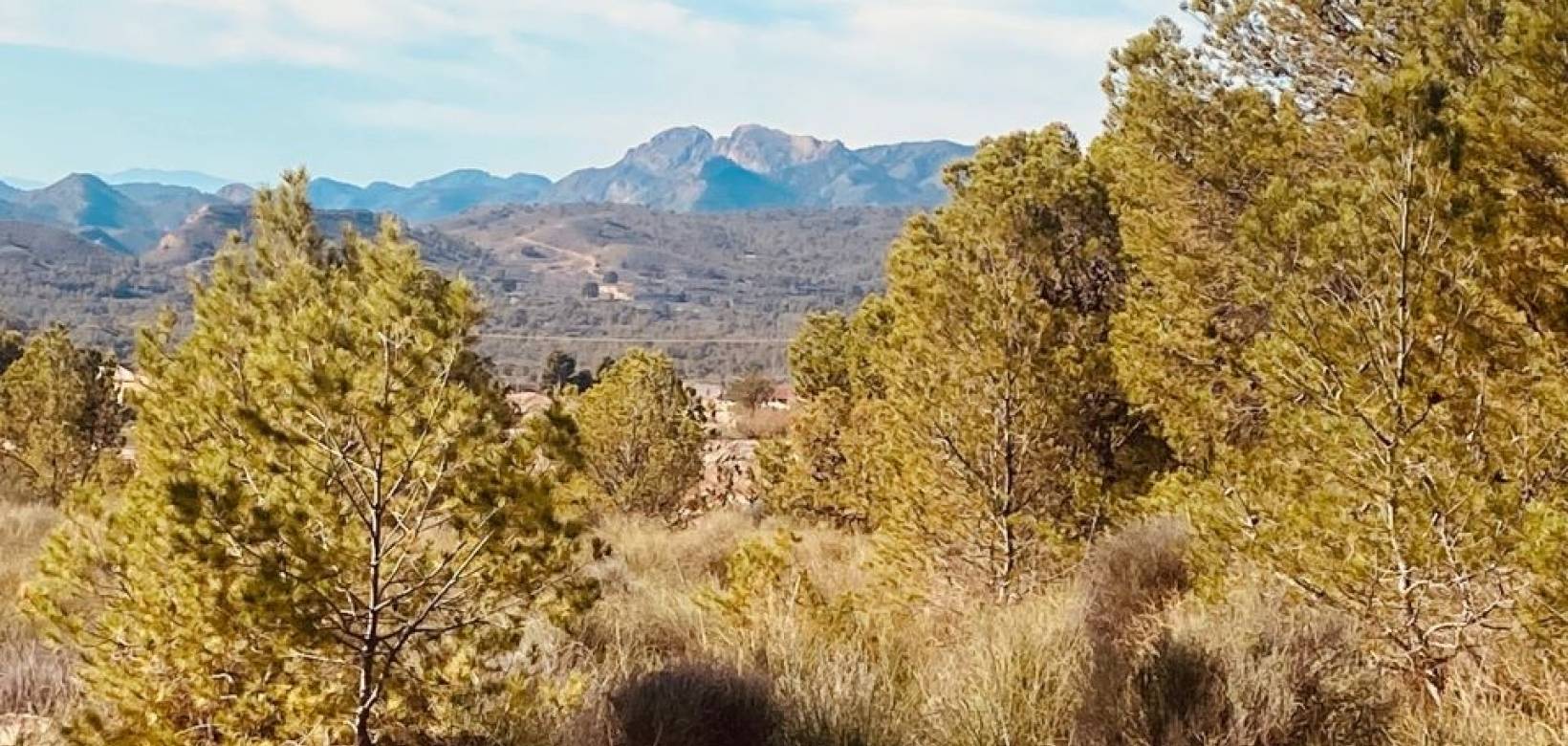 Revente - Maison caverneuse - Barinas