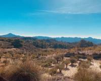 Revente - Maison caverneuse - Barinas