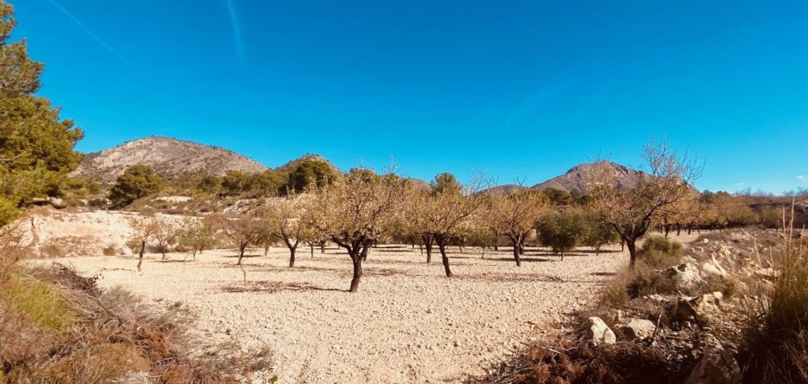 Revente - Maison caverneuse - Barinas