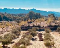 Revente - Maison caverneuse - Barinas