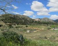 Revente - Maison caverneuse - La Romana