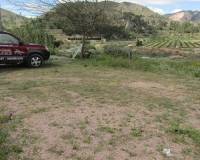 Revente - Maison caverneuse - La Romana