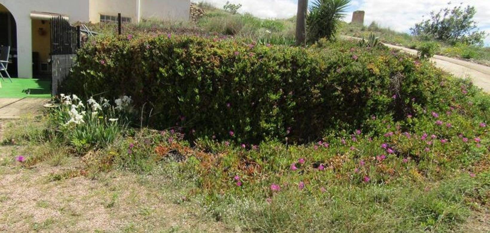 Revente - Maison caverneuse - La Romana