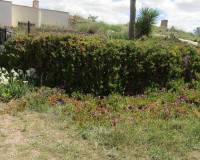 Revente - Maison caverneuse - La Romana