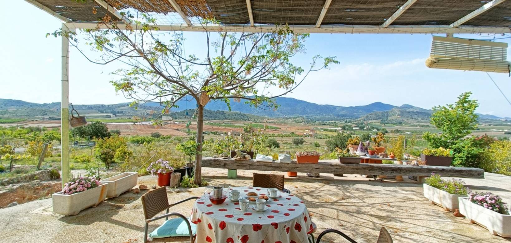 Revente - Maison de campagne - Hondón de las Nieves