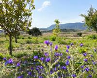 Revente - Maison de campagne - Hondón de las Nieves