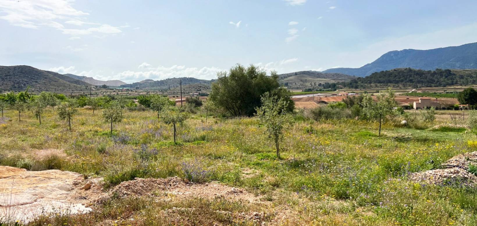 Revente - Maison de campagne - Hondón de las Nieves