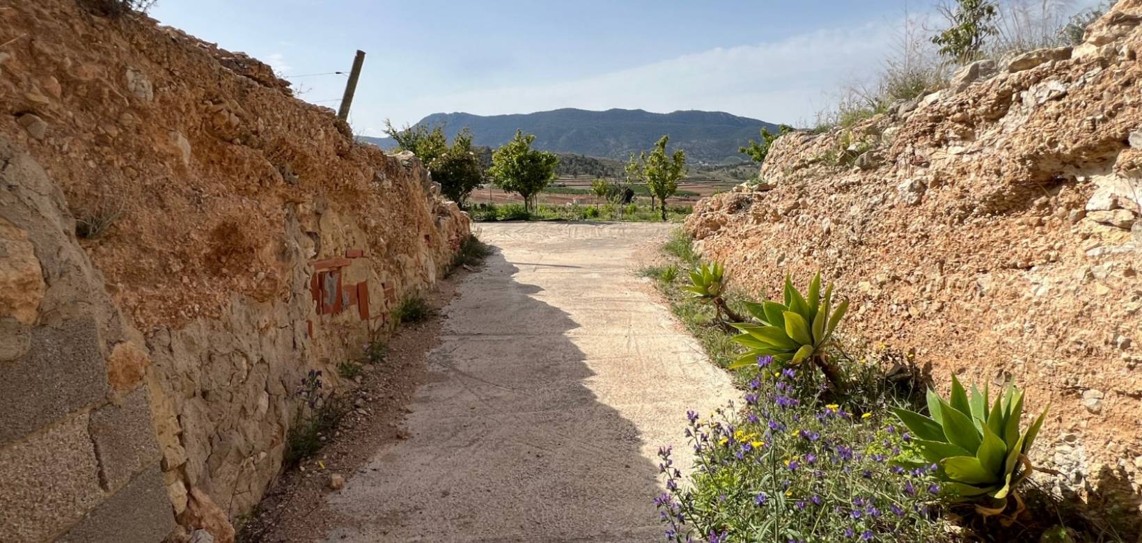 Revente - Maison de campagne - Hondón de las Nieves