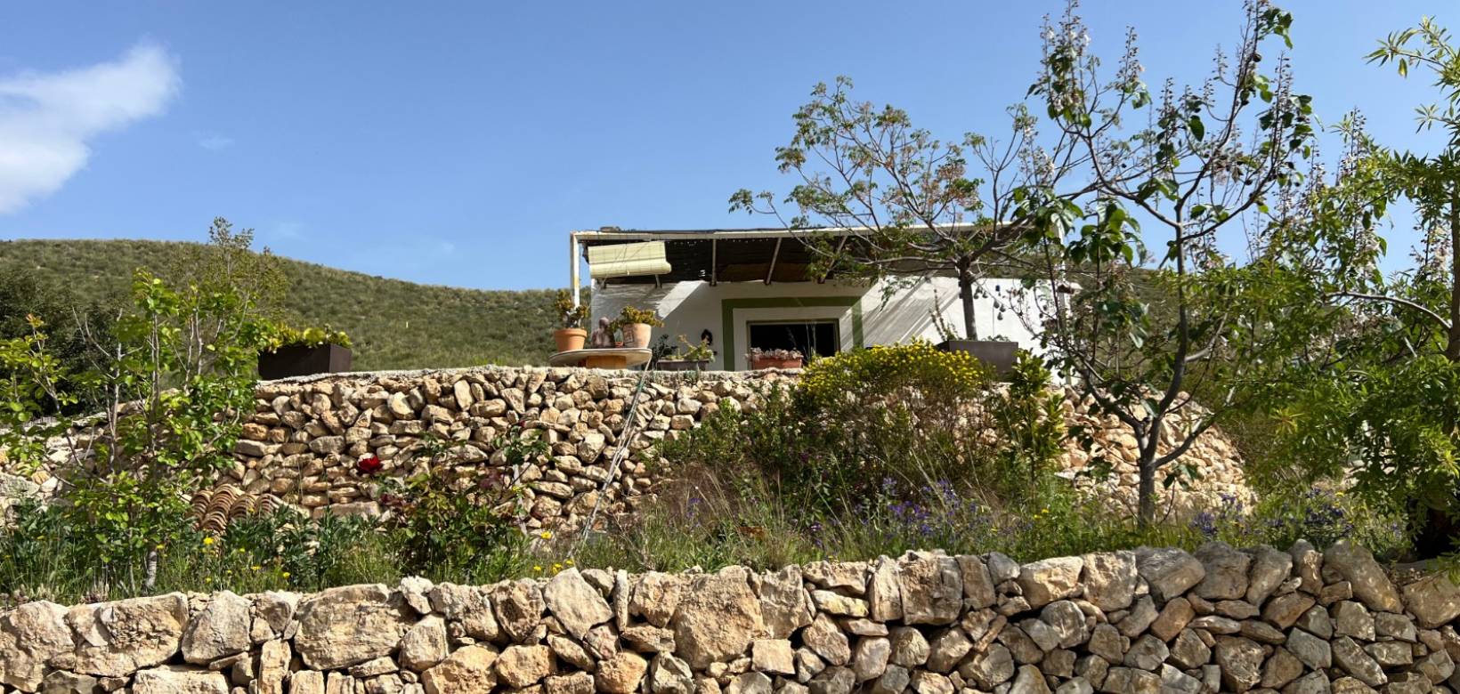 Revente - Maison de campagne - Hondón de las Nieves