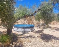 Revente - Maison de campagne - La Romana