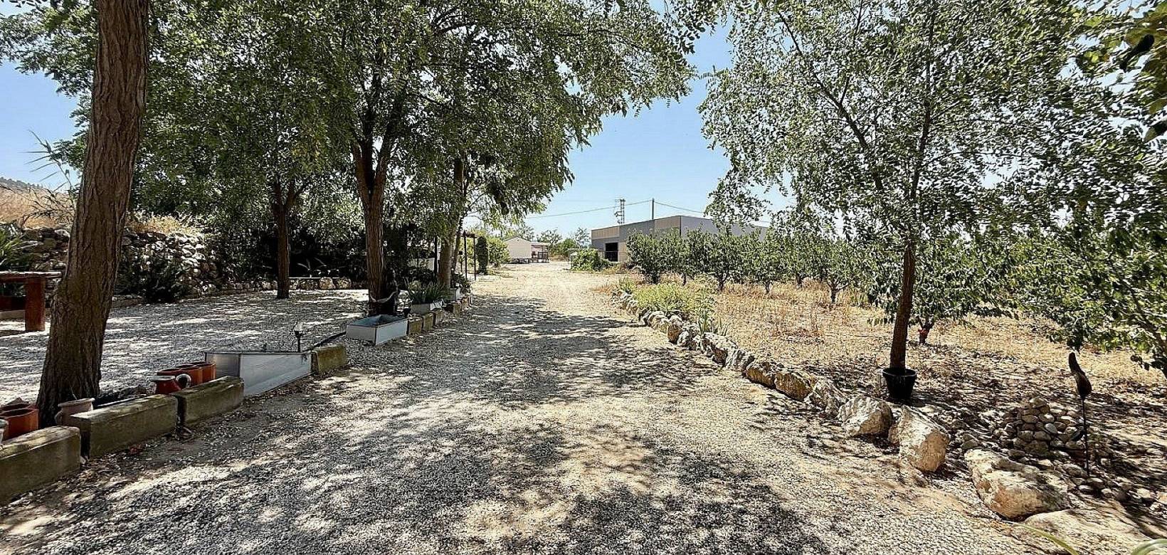 Revente - Maison de campagne - Villena
