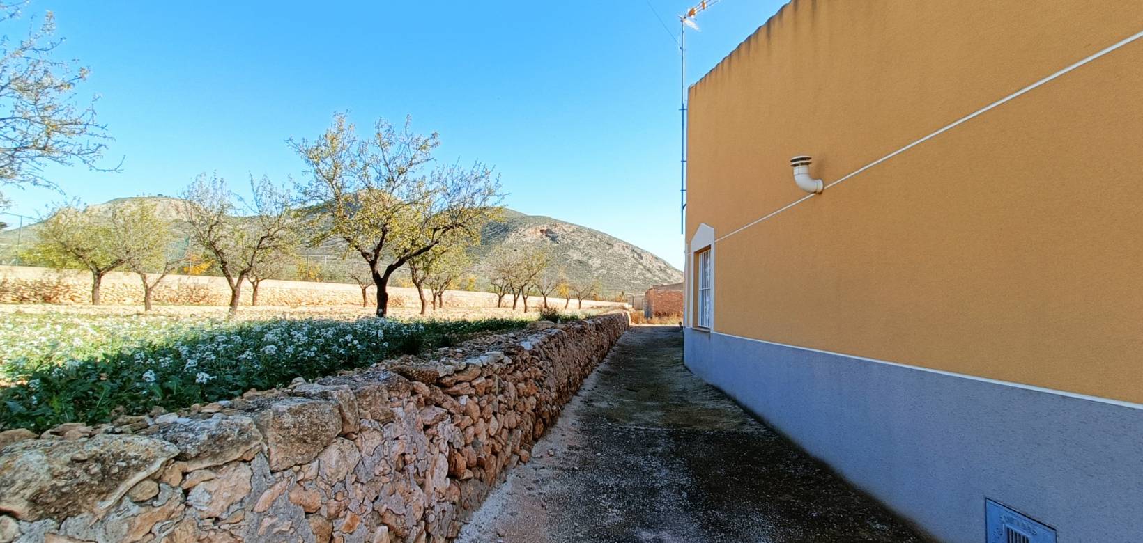 Revente - Maison de ville - Hondón de los Frailes