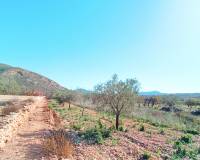 Revente - Maison de ville - Hondón de los Frailes