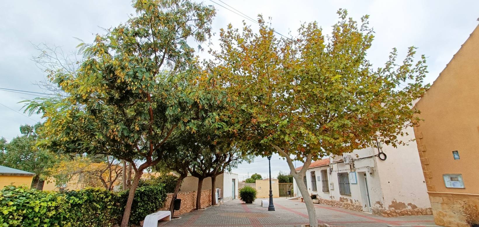 Revente - Maison de ville - Hondón de los Frailes