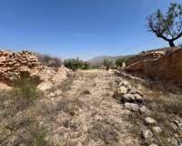 Revente - Parcelle - Barbarroja