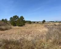 Revente - Parcelle - Barbarroja