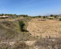 Revente - Parcelle - Barbarroja