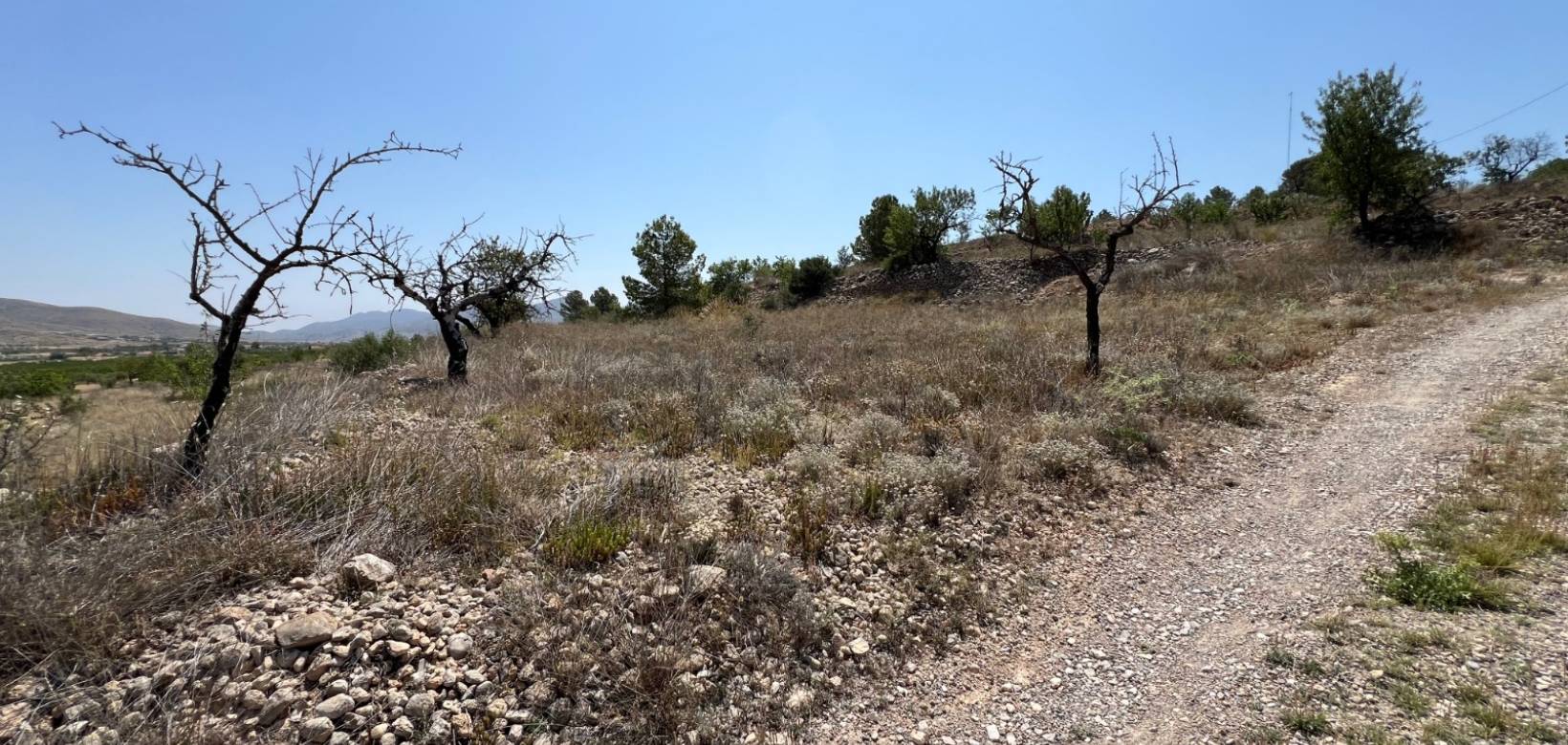 Revente - Parcelle - Barbarroja